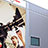 Samy's Camera-Samy's Camera hires Epic Worldwide to quickzip vinyl wall graphics during the holidays